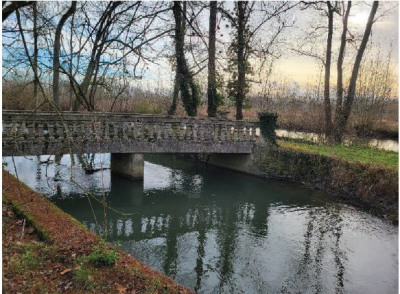 Château et ensemble immobilier – 2 500 m² à Brieuil-sur-Chizé (79170) – photo 1