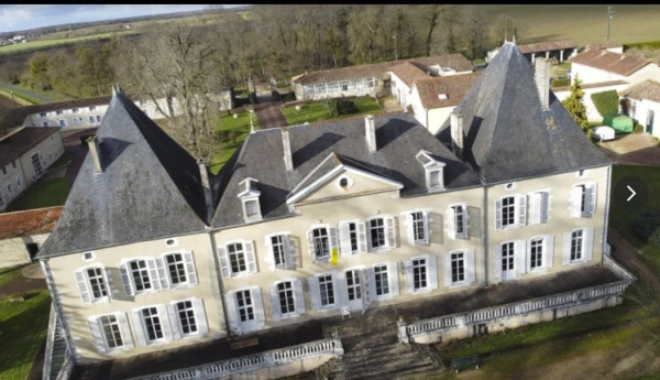 Château et ensemble immobilier – 2 500 m² à Brieuil-sur-Chizé (79170) – photo 4