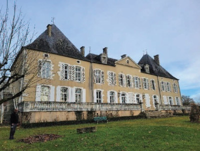 Château et ensemble immobilier – 2 500 m² à Brieuil-sur-Chizé (79170) – photo 5
