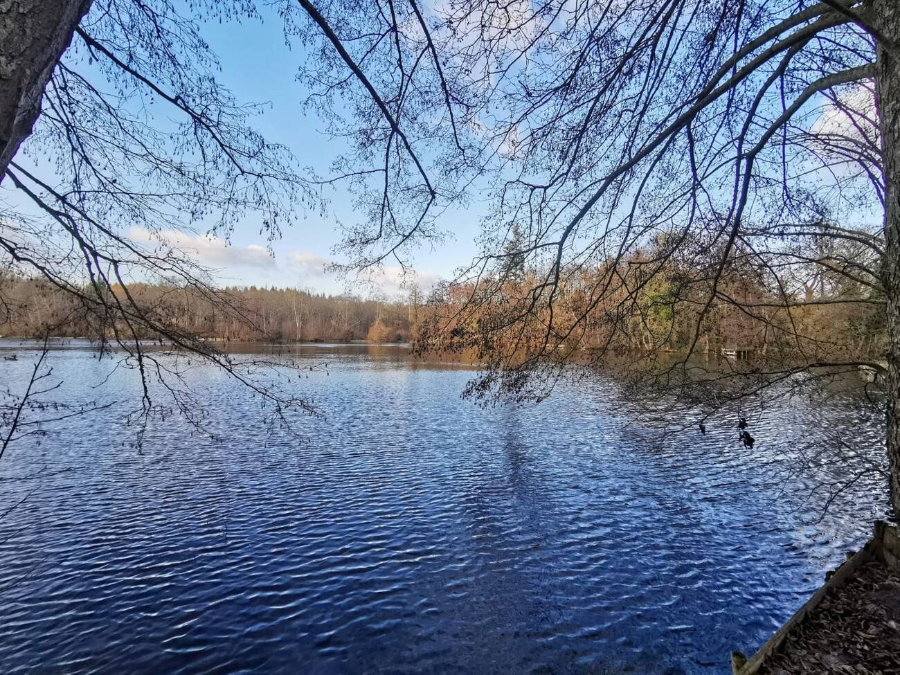 Manoir de 800 m² et domaine de 8 hectares à Verneuil-d’Avre-et-d’Iton (27130) – photo 2