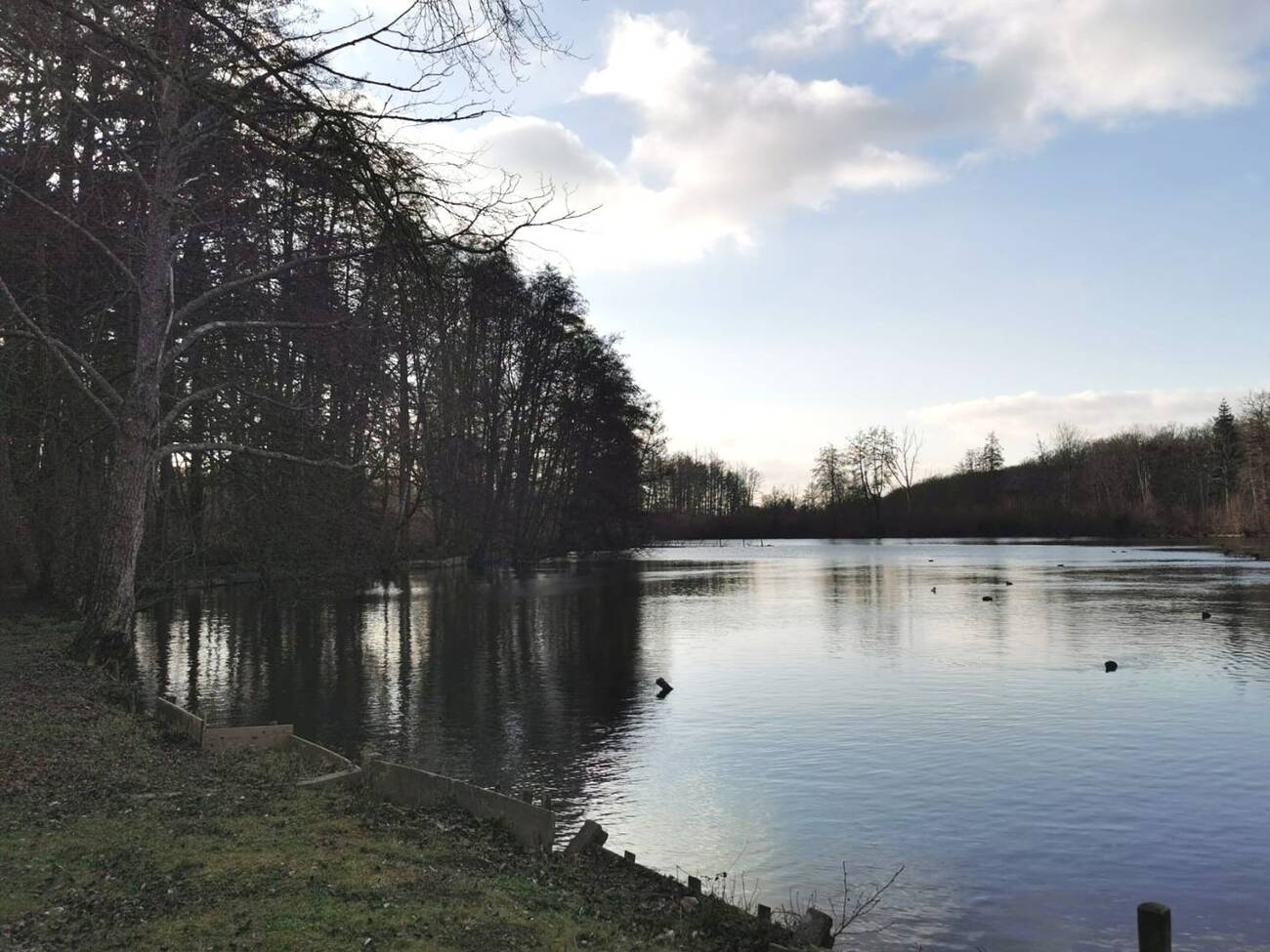 Manoir de 800 m² et domaine de 8 hectares à Verneuil-d’Avre-et-d’Iton (27130) – photo 3